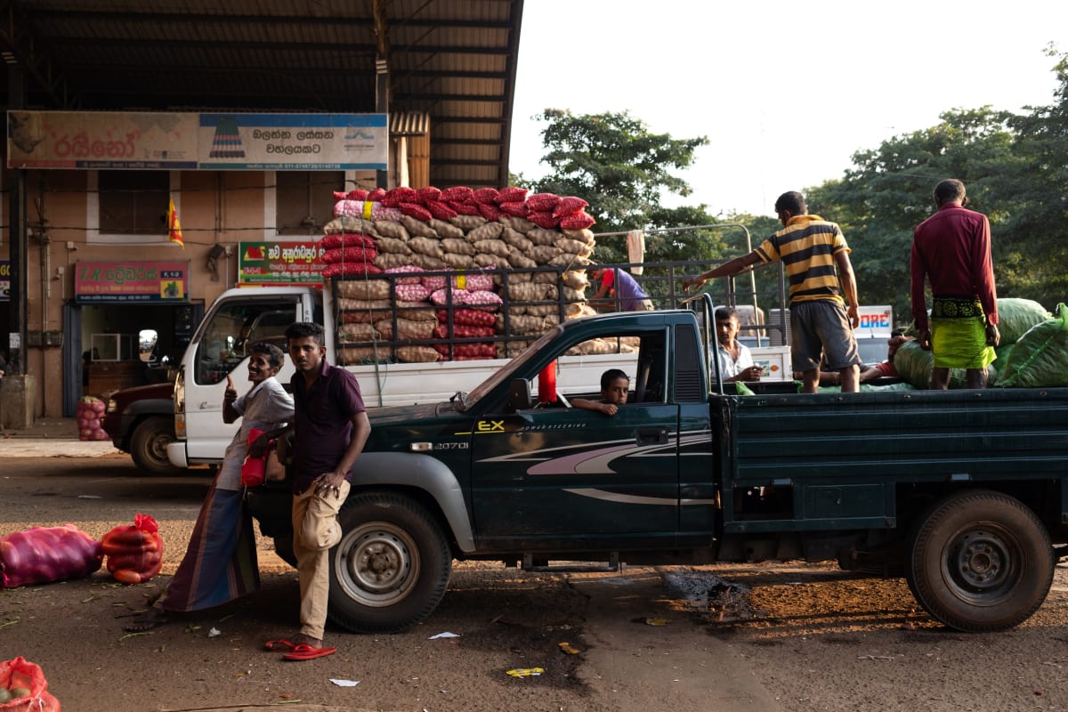 Loaders stack sacks of potatoes onto a pickup truck outside a produce market at golden hour — Luke Neville