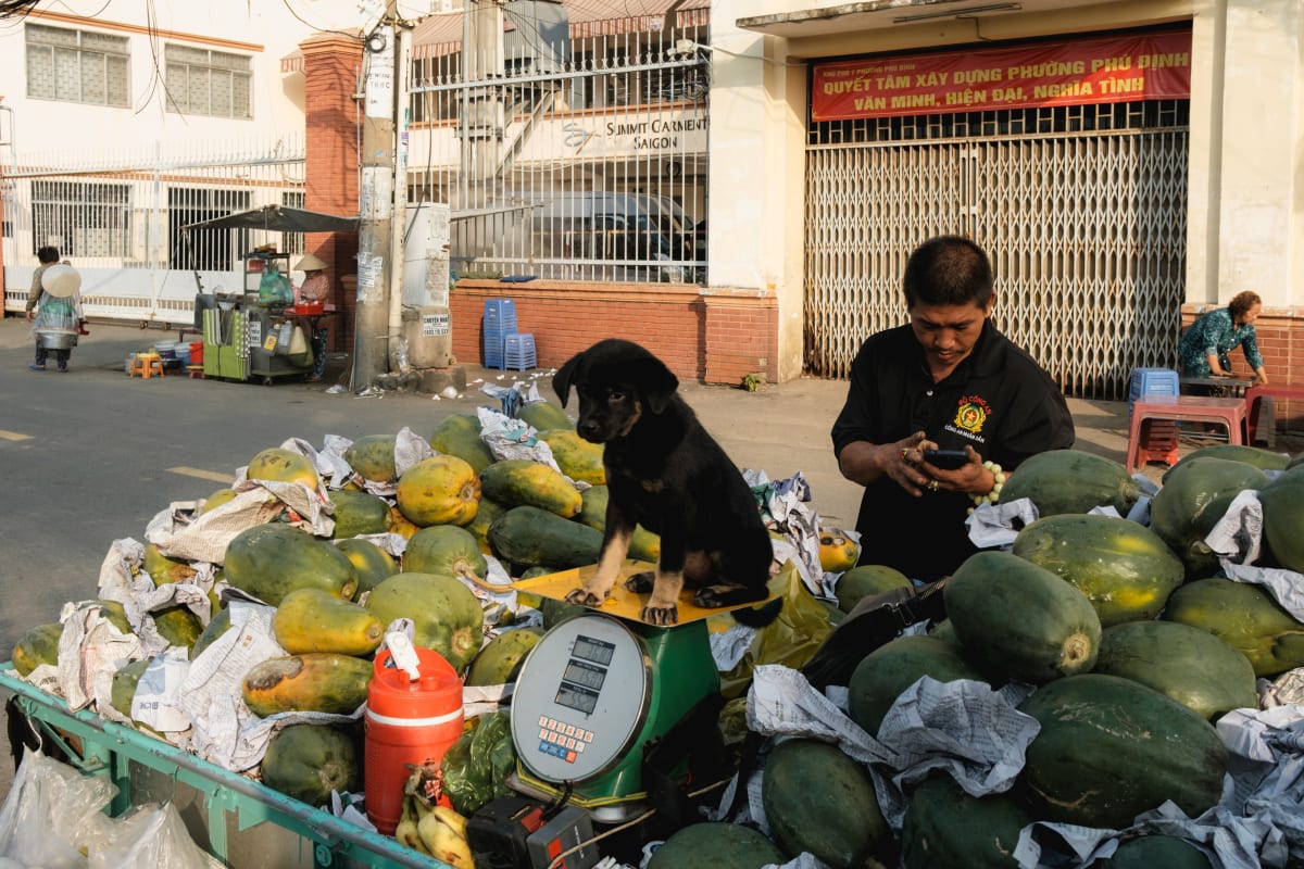 A fruit-cart vendor checks his phone beside stacked papayas and watermelons while a small black dog sits among the produce — Adrien Jean