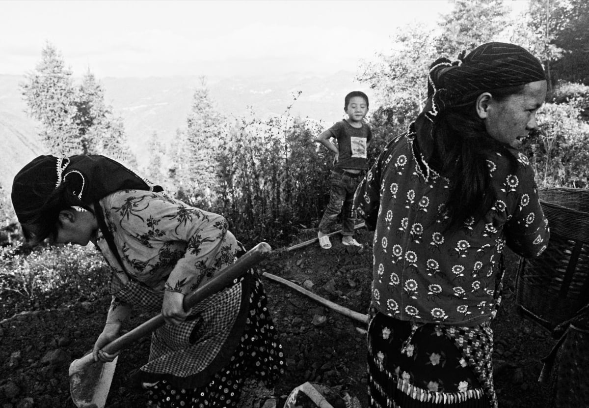 Two women work a steep hillside plot with short-handled hoes while a child stands watching from higher up the slope — Dennis and Patrick Weinert