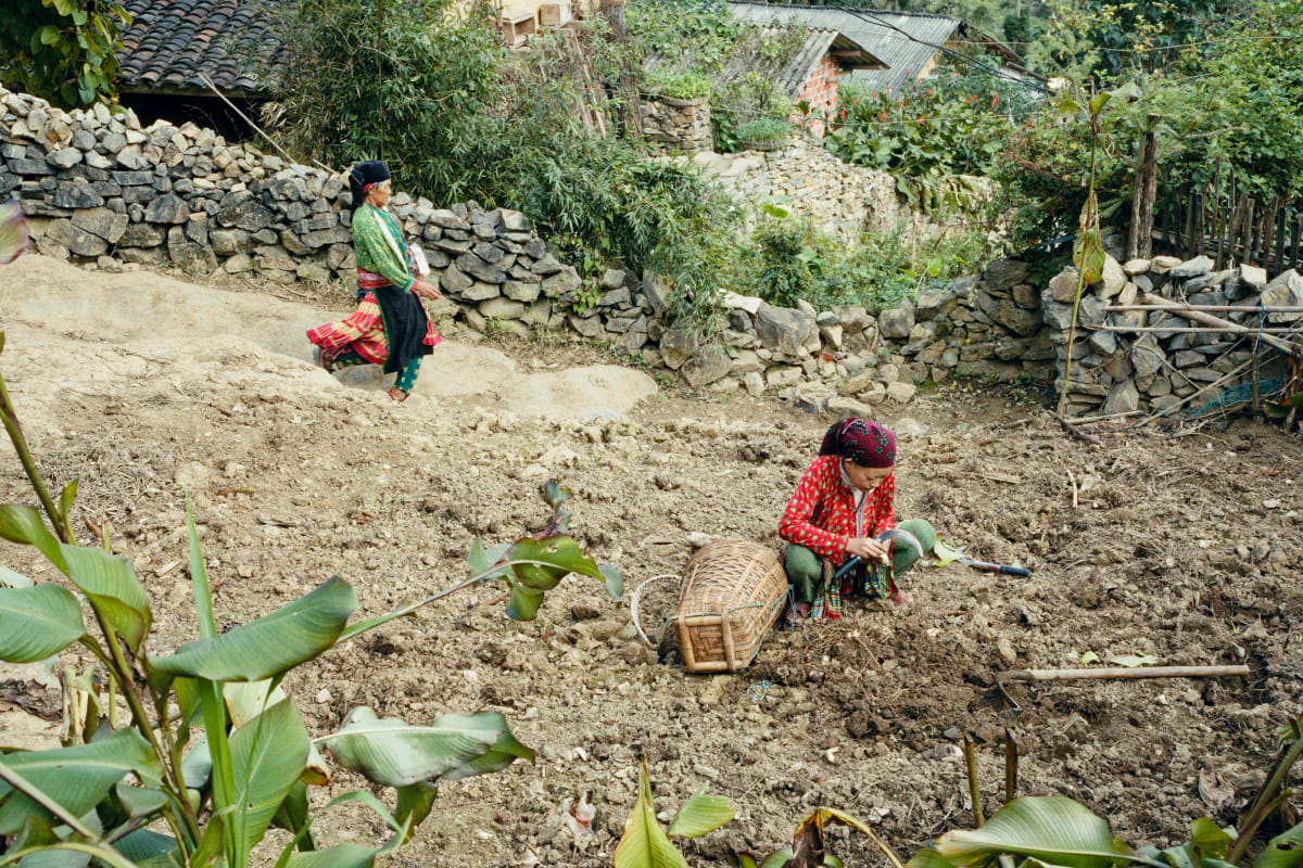 A woman in red squats to work a field of turned earth below a dry-stone wall while another walks the path above — Dennis and Patrick Weinert