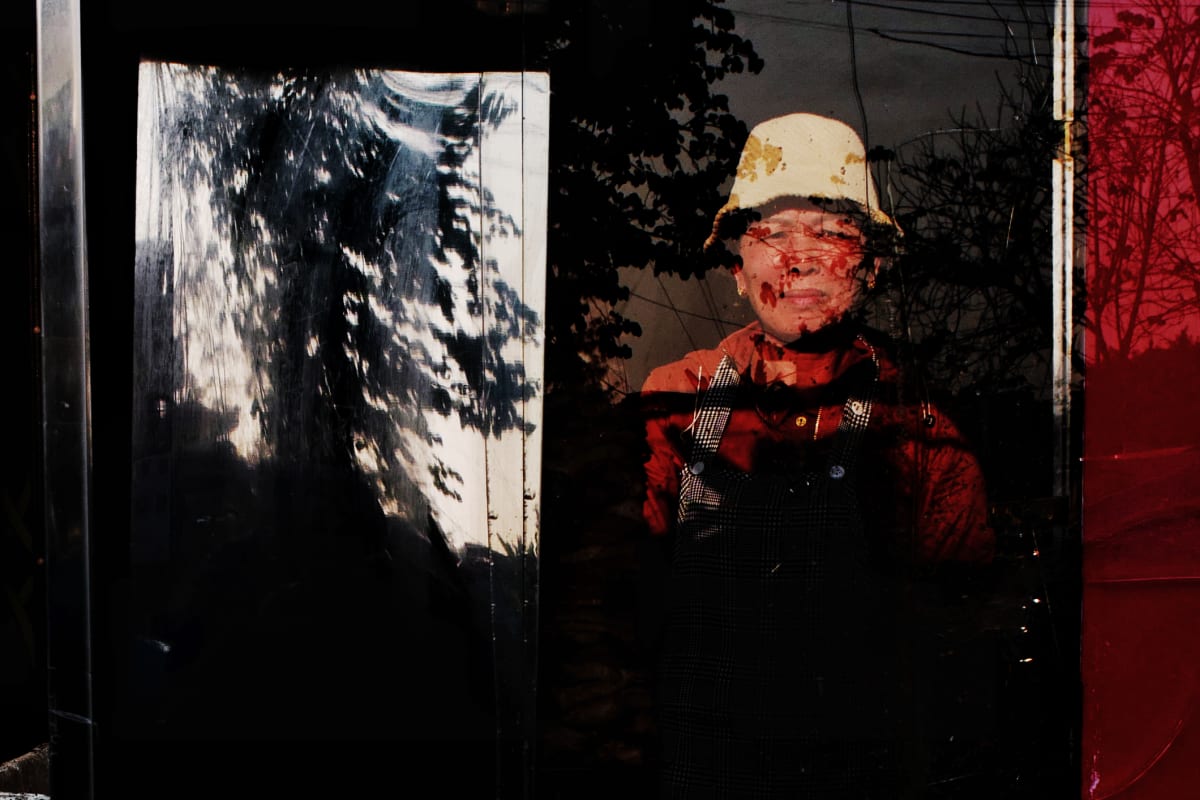Vietnamese woman in bucket hat peers through red-tinted glass with dramatic tree shadows on a Hanoi street