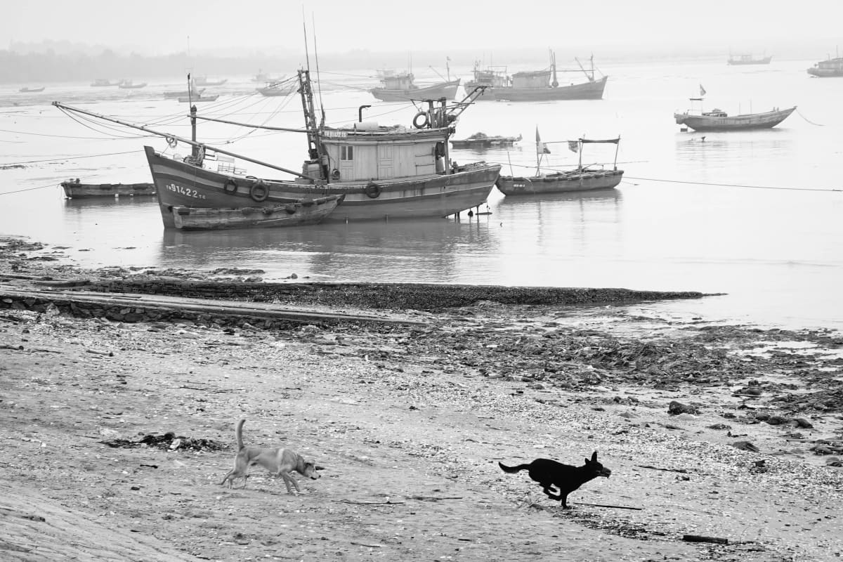 Street photography from Other by Trịnh Thành Đạt