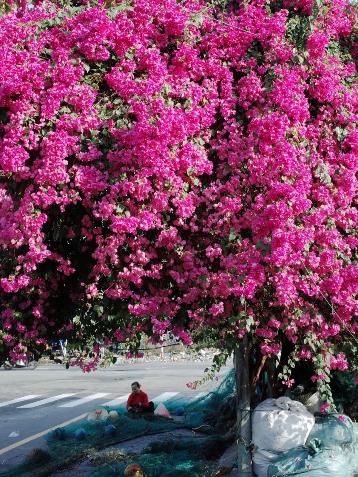 Street photography from Nha Trang by Hong Son Nghe
