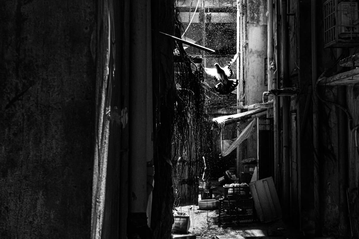 Street photography from Saigon (HCMC) by Phong