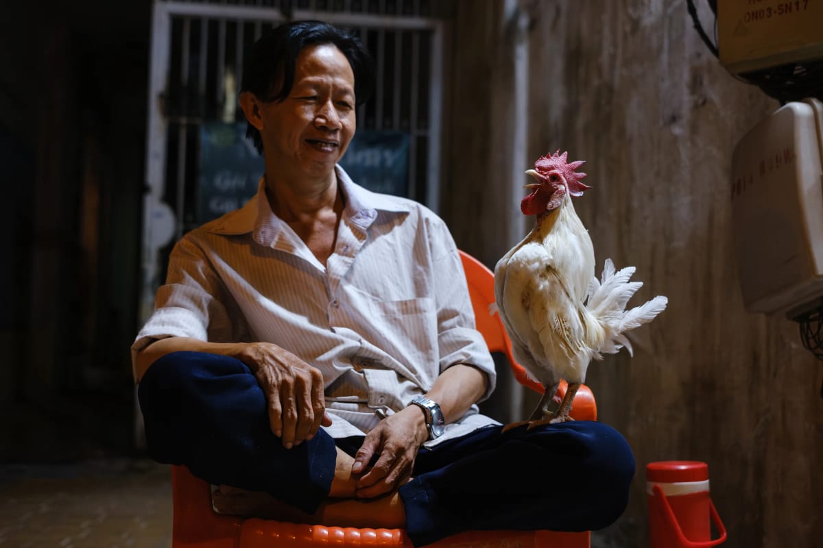 Photography by Công Huy