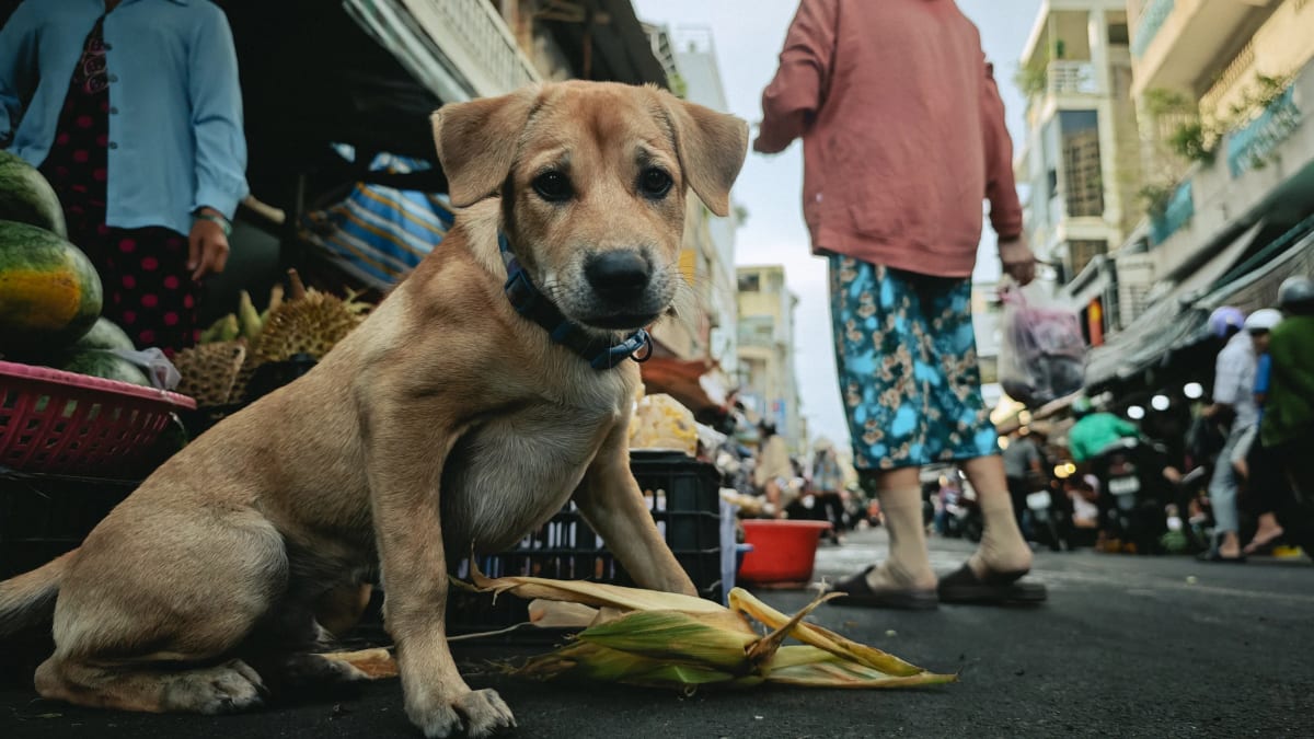 Street photography from Saigon (HCMC) by Anton