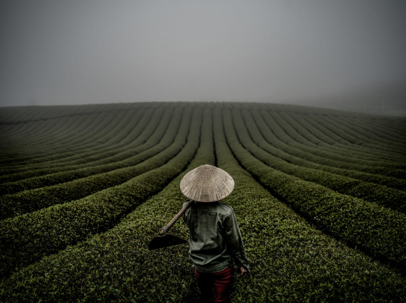 Editorial portrait from Vietnam — Justin Mott