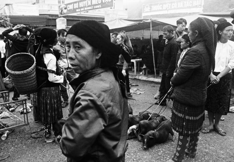 A woman in a dark headwrap carrying a woven basket looks back over her shoulder in the crowd at the Mèo Vạc cattle market, tethered piglets lying on the ground behind her — Dennis and Patrick Weinert