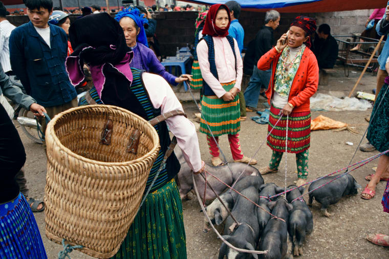 Women in bright striped skirts hold the tethers of a cluster of black piglets on the ground; one takes a phone call, a large woven back-basket in the foreground — Dennis and Patrick Weinert
