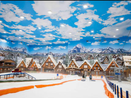Trans Snow