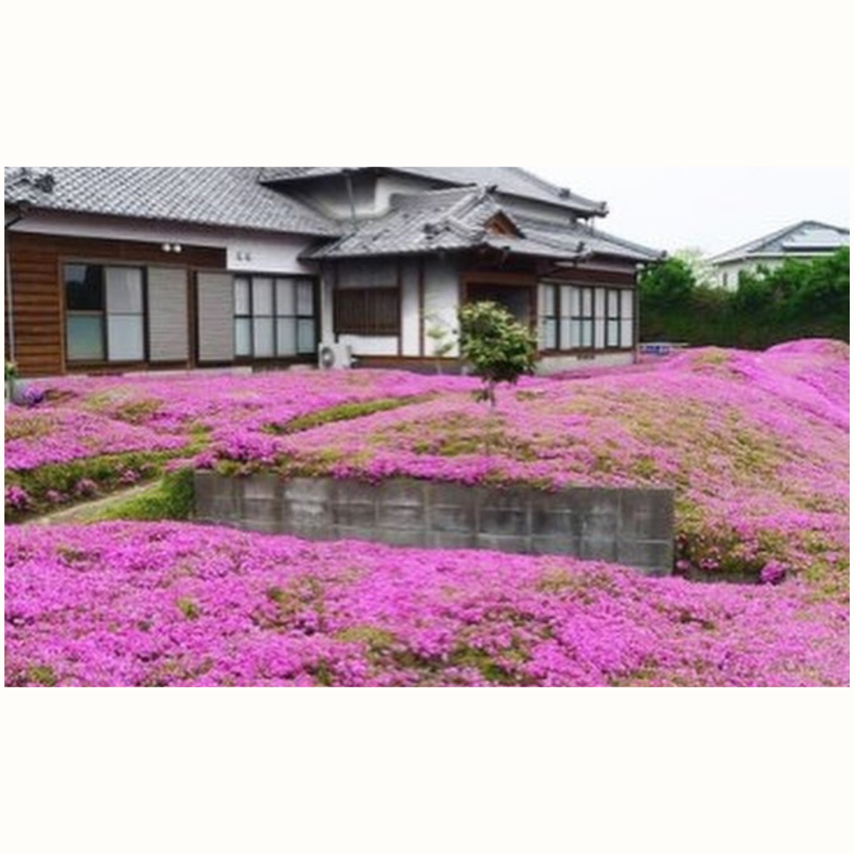 Taman Bunga Jepang