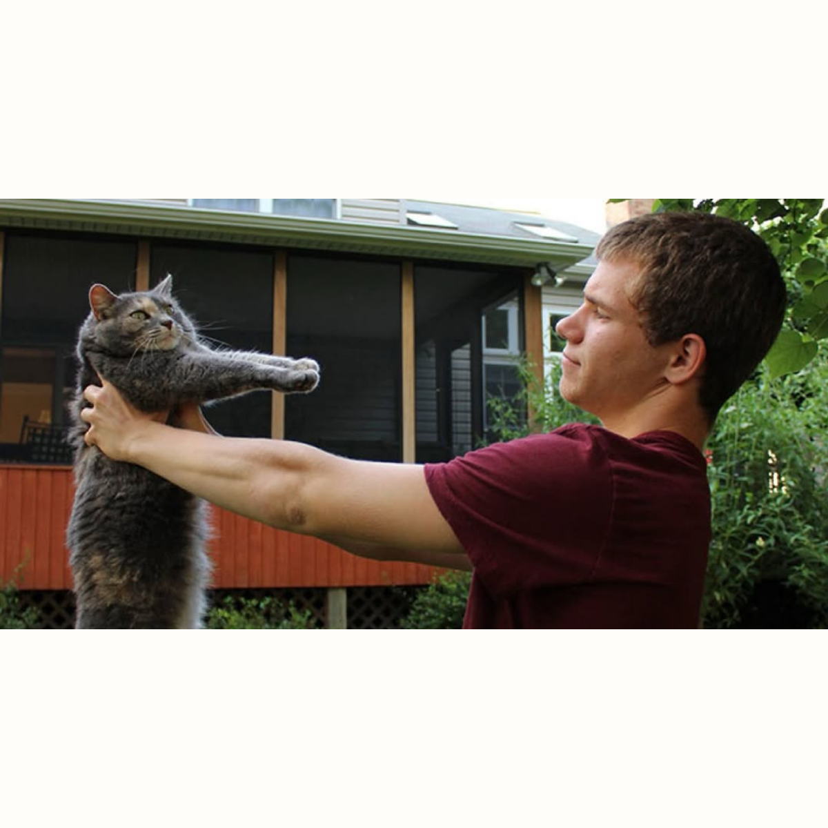 Kucing dengan Aksesoris