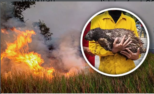 Ada Apa dengan Kondisi Langit dan Udara di Kotamu?
