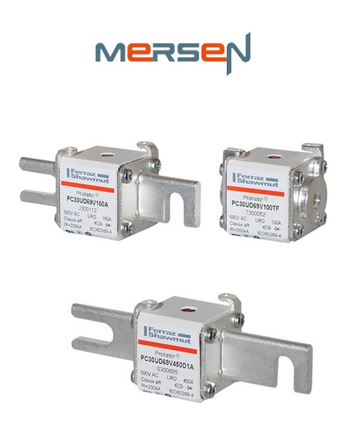 A Tiny Find in the Quiet Medical Archive