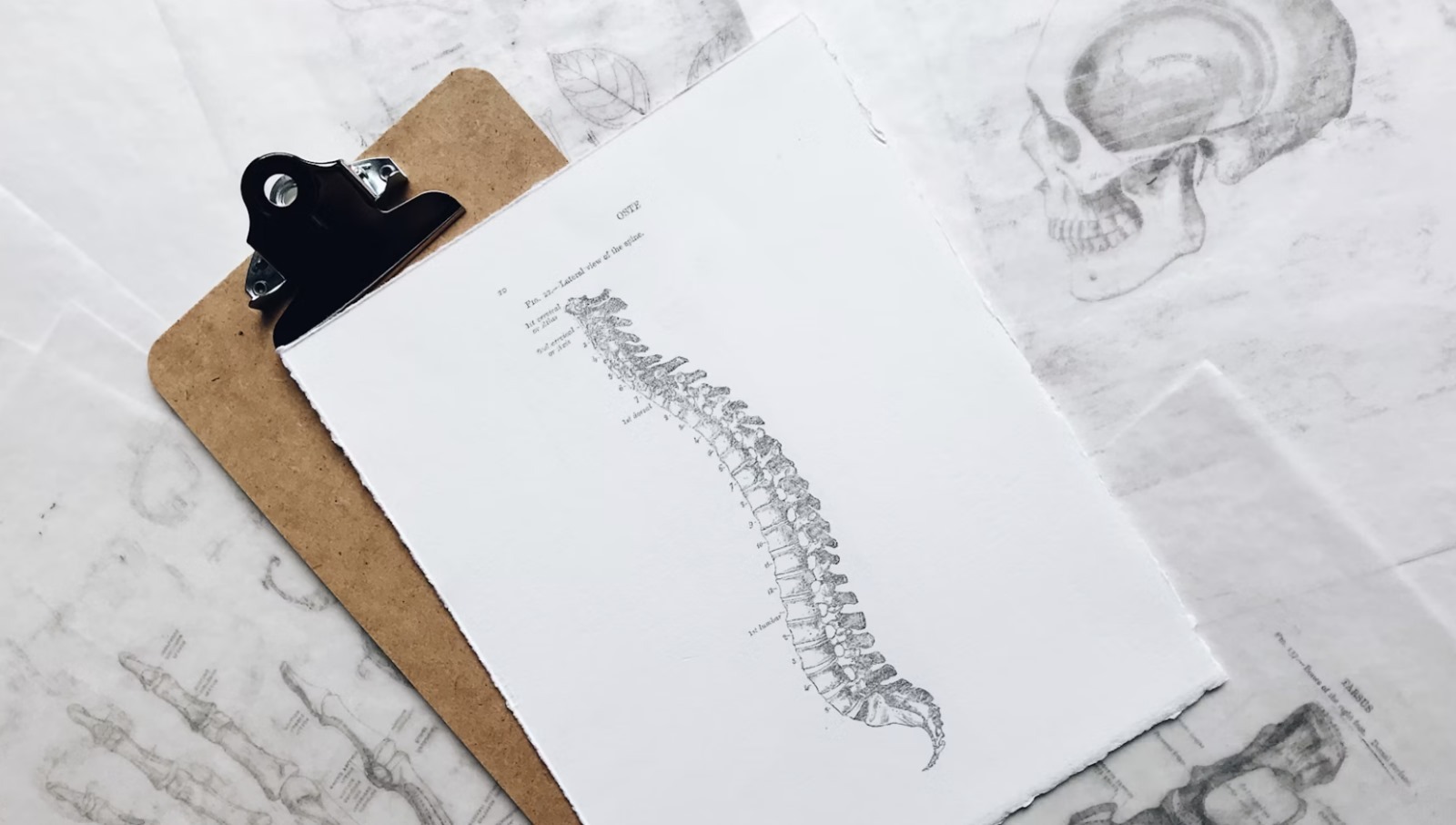 Neck Pain Chiropractor Langley – Gentle, Targeted Relief