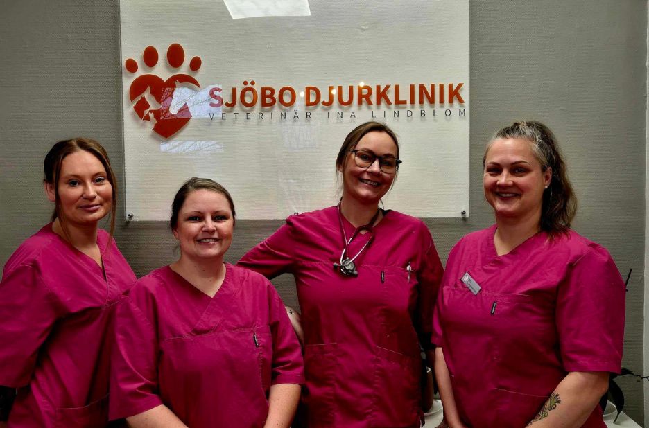 Vollständig vård hemma i Skurup – veterinär hembesök