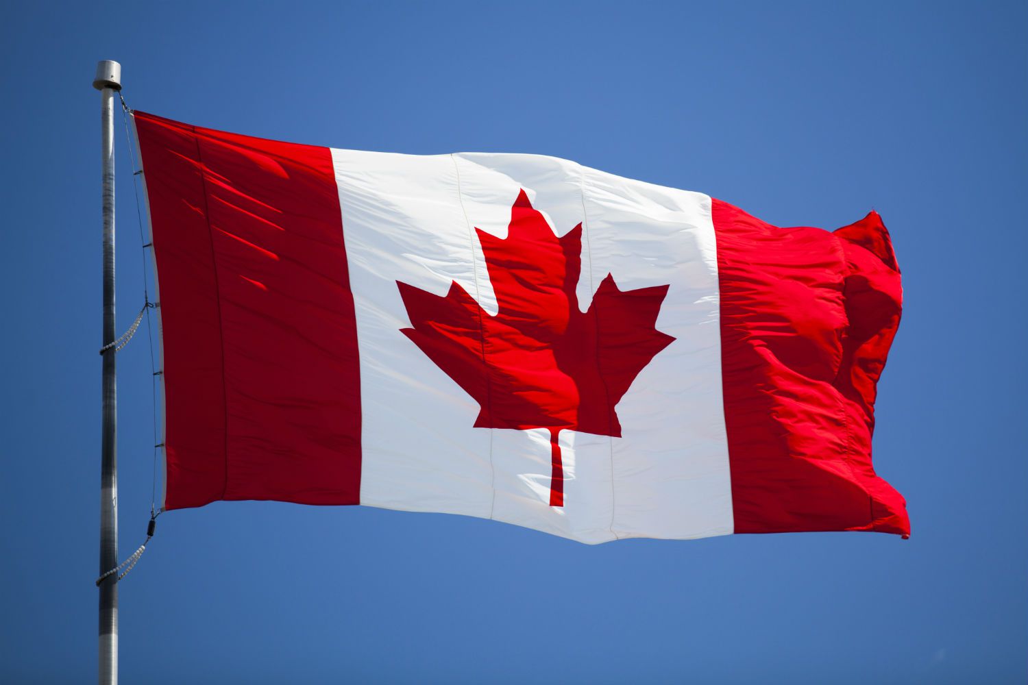 Study in Canada