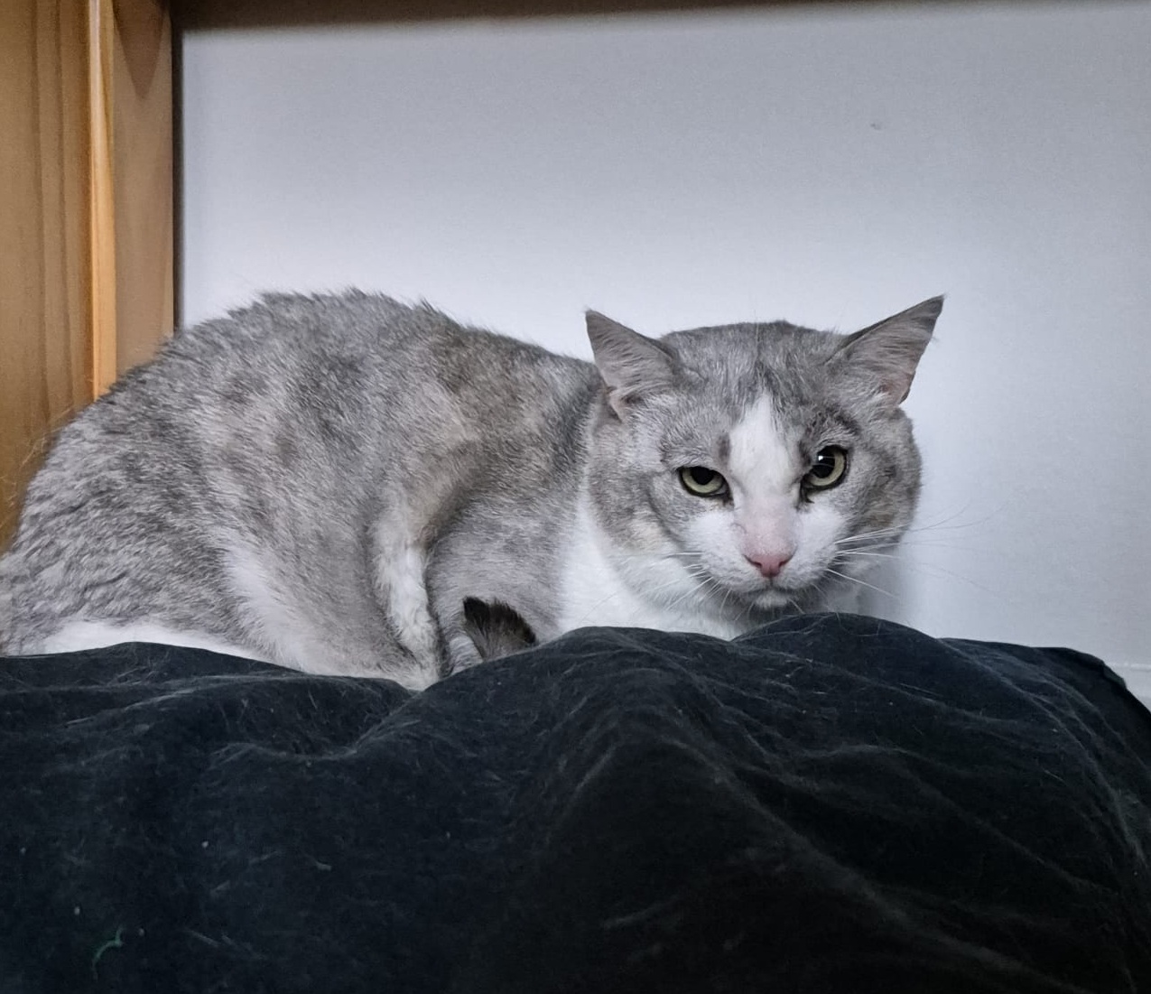 Titou photo 4