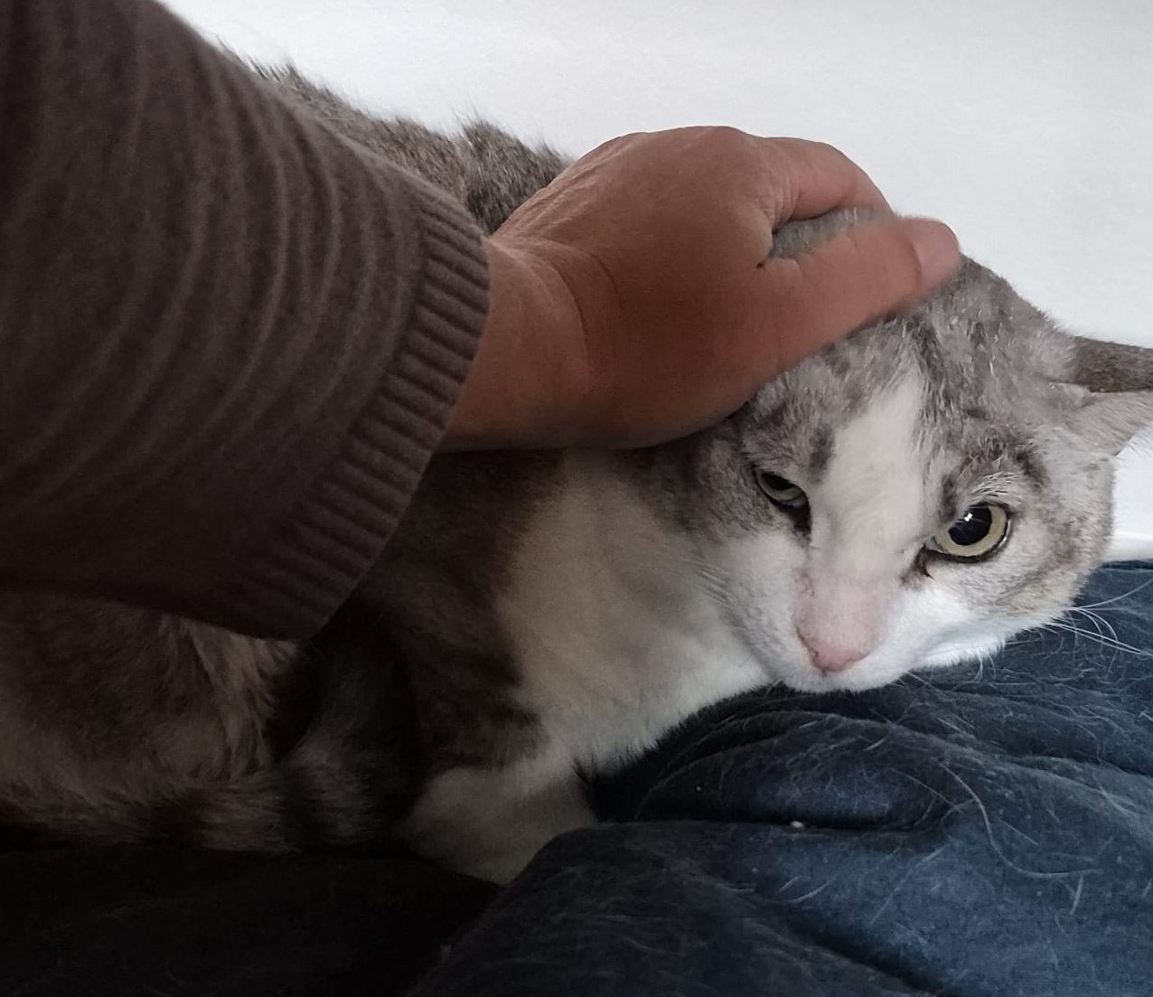 Titou photo 3