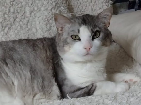 Titou