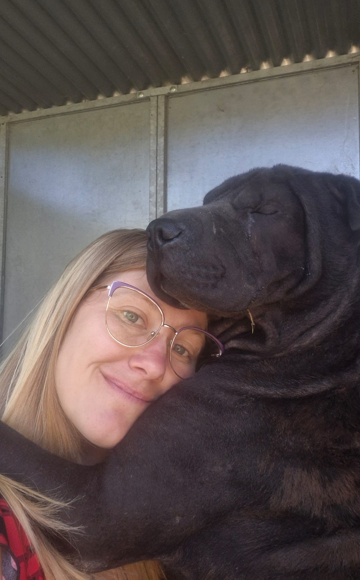 Angus photo 3
