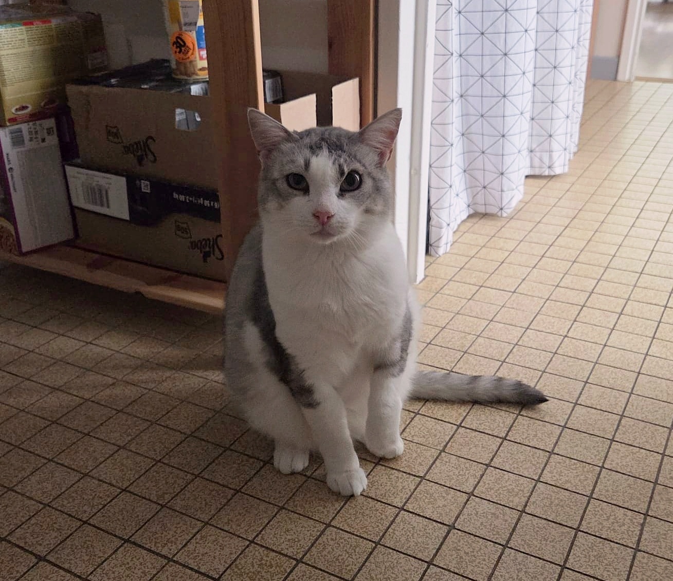 Titou photo 1