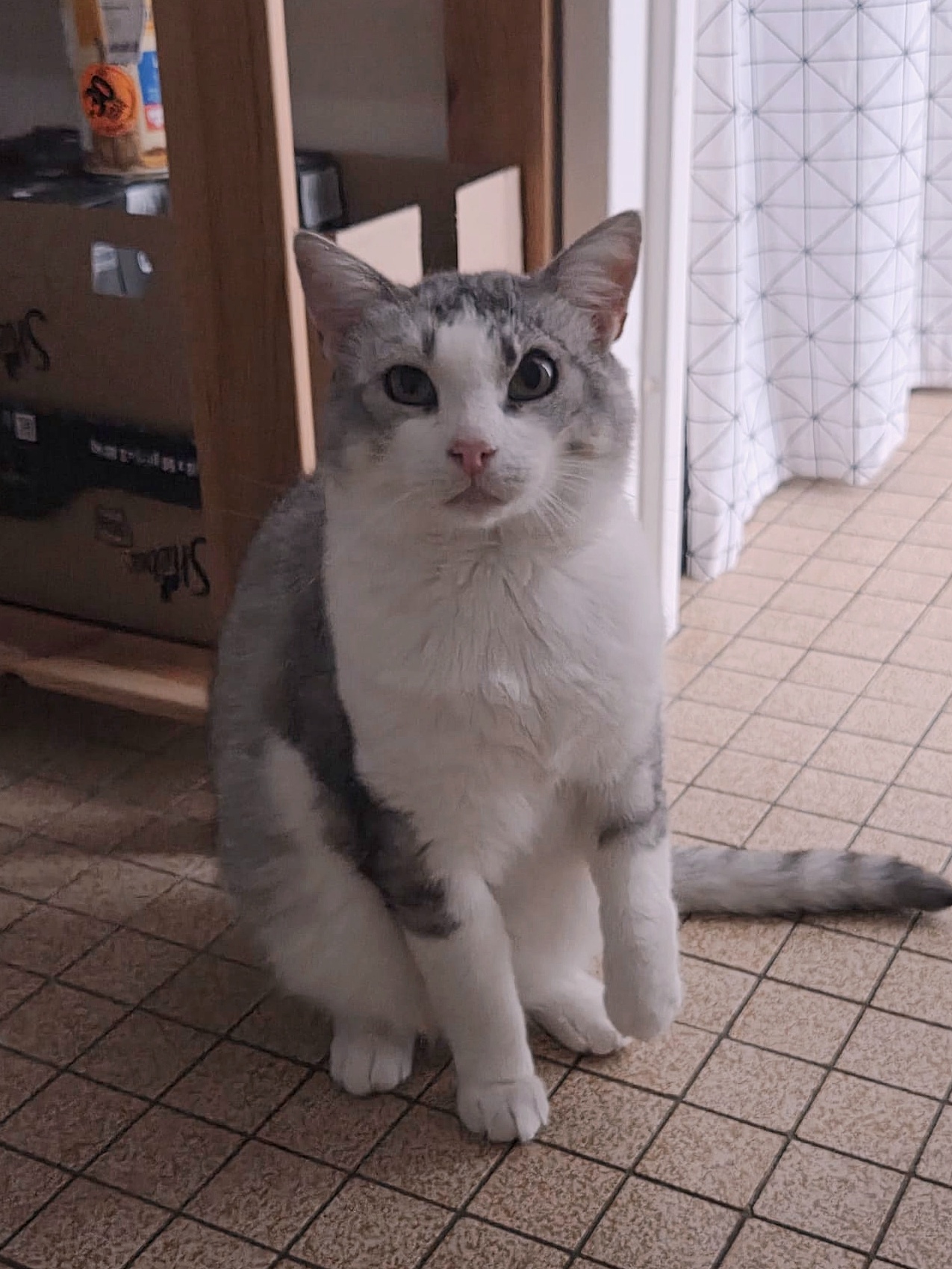 Titou photo 3