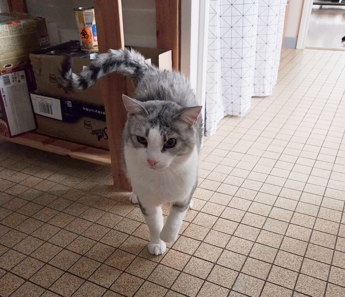 Titou photo 2
