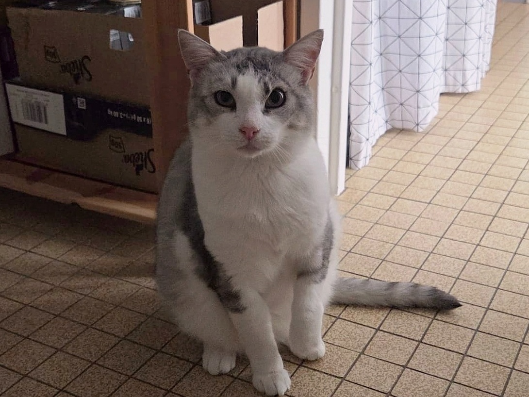 Titou