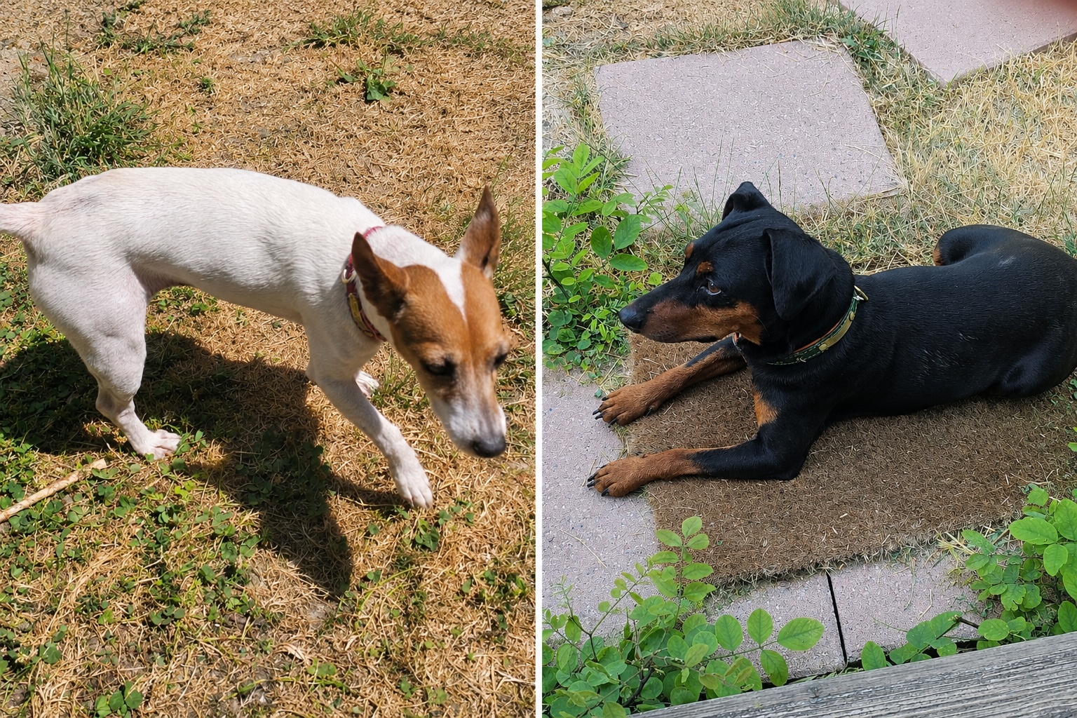 Nina & Toxane