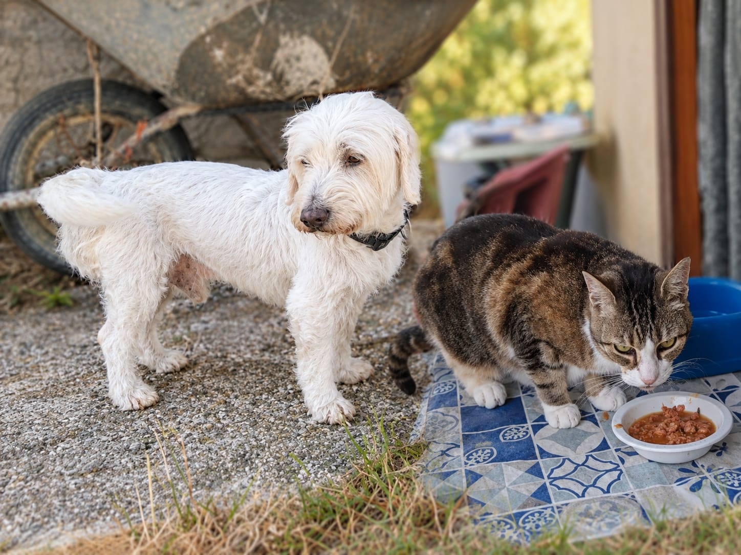 Happy & Minette