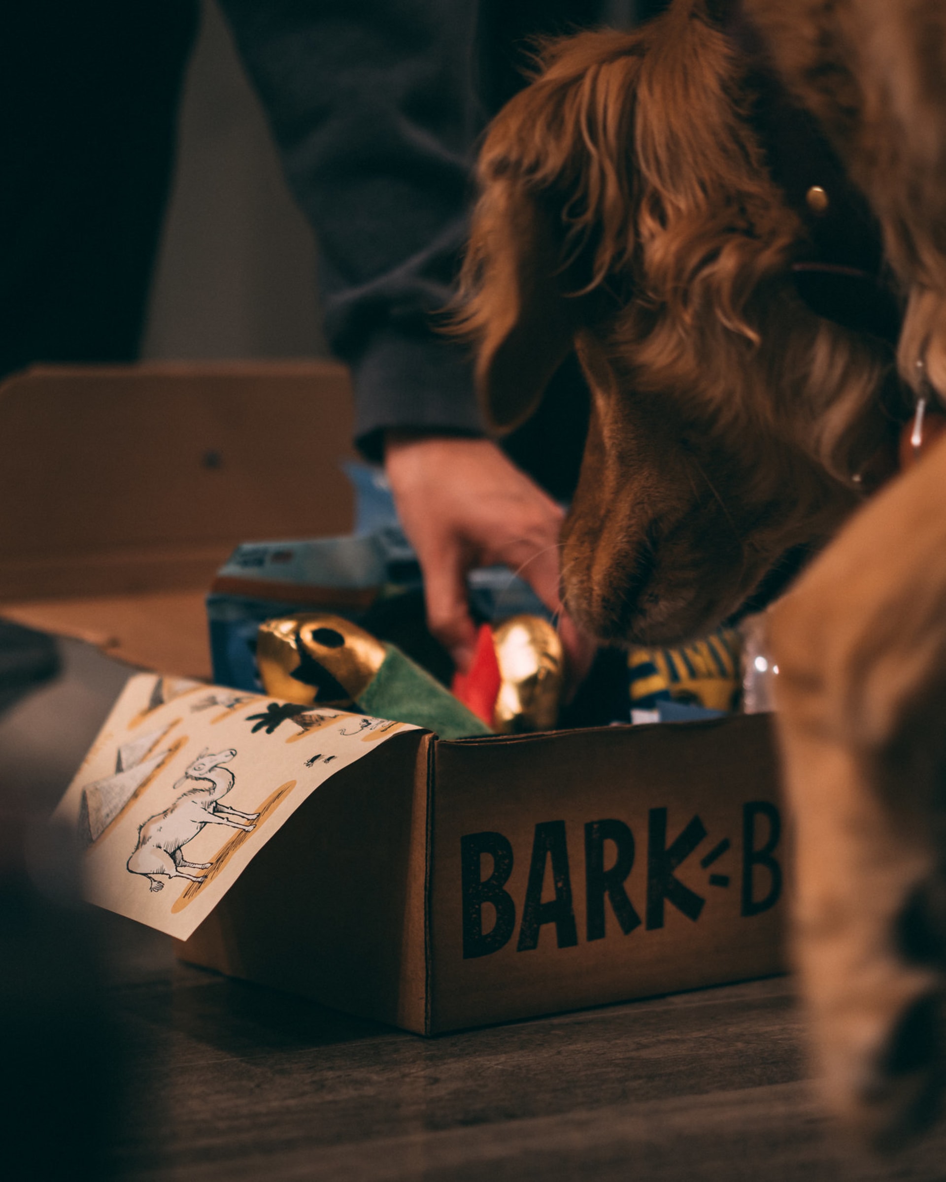 BarkBox