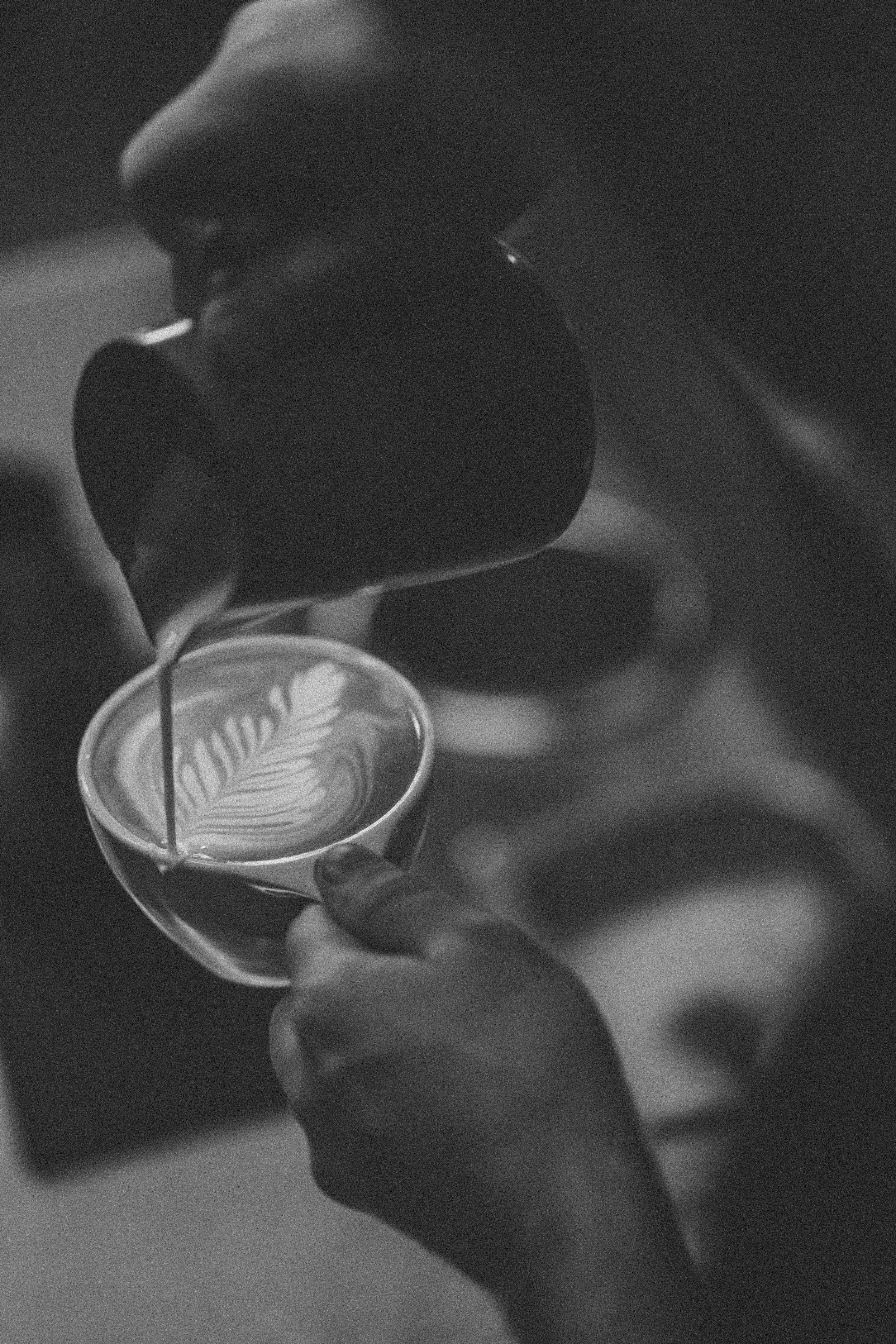 Bardot II — frame 05