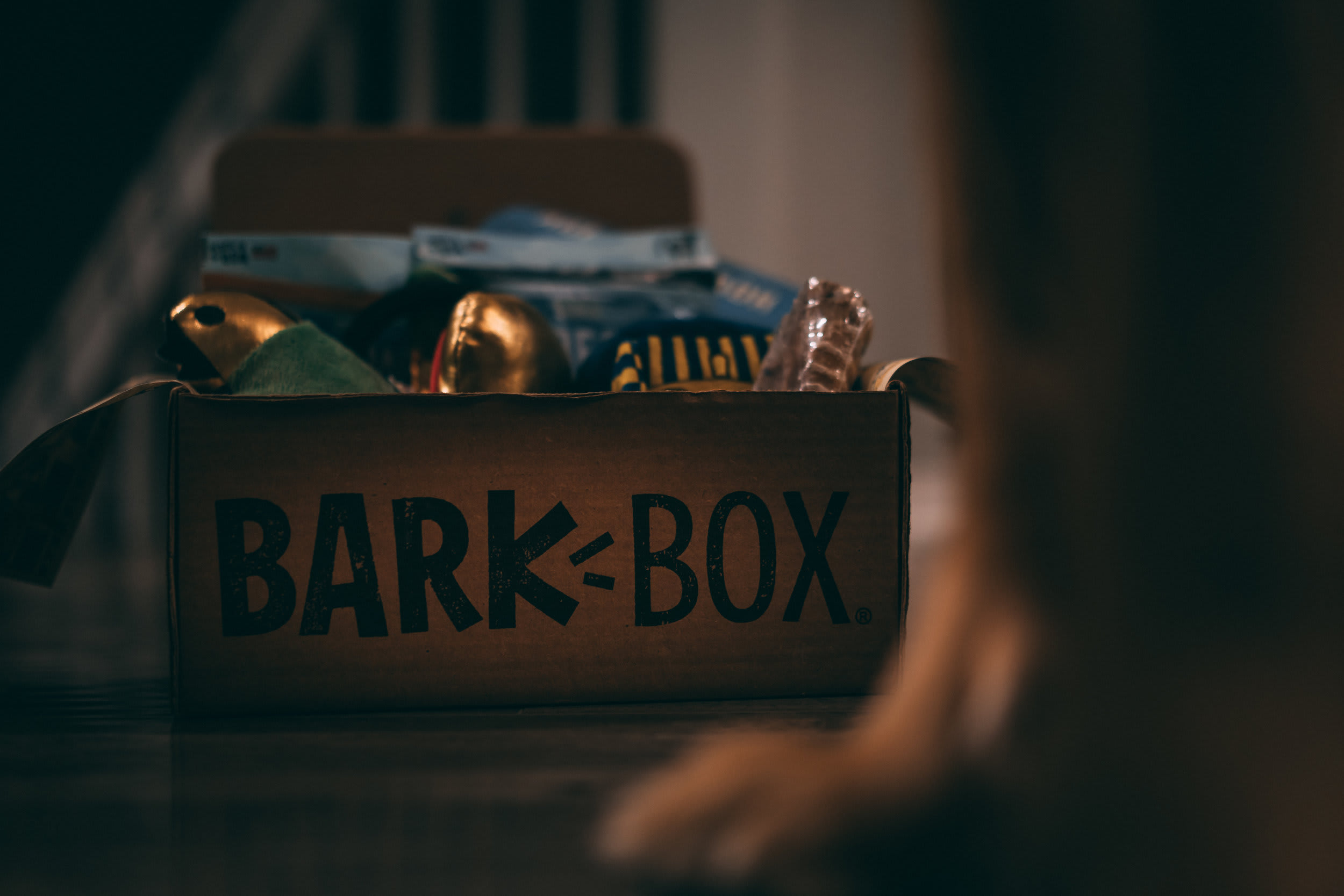 BarkBox — frame 02
