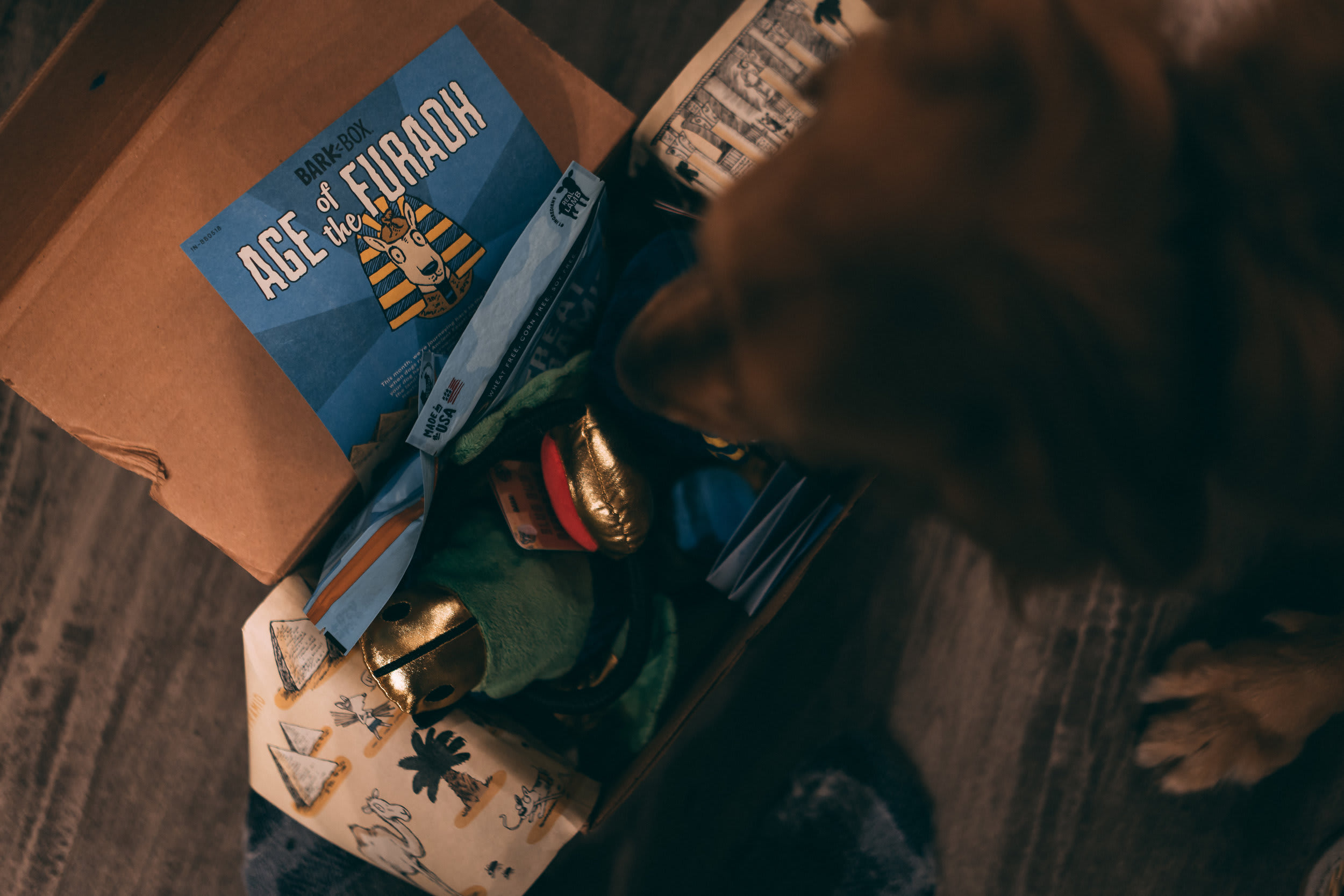 BarkBox — frame 03