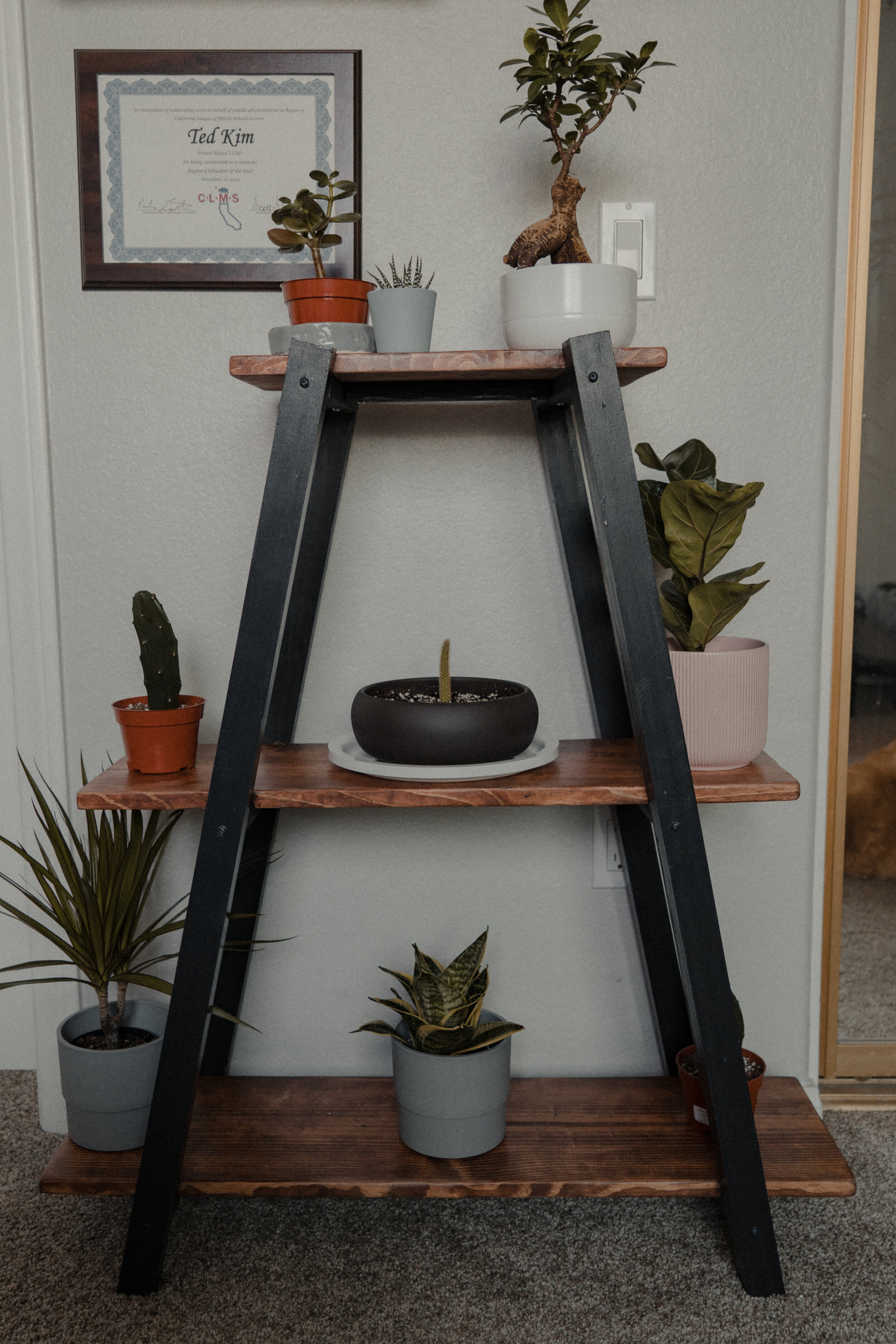 Justin the Builder — frame 03