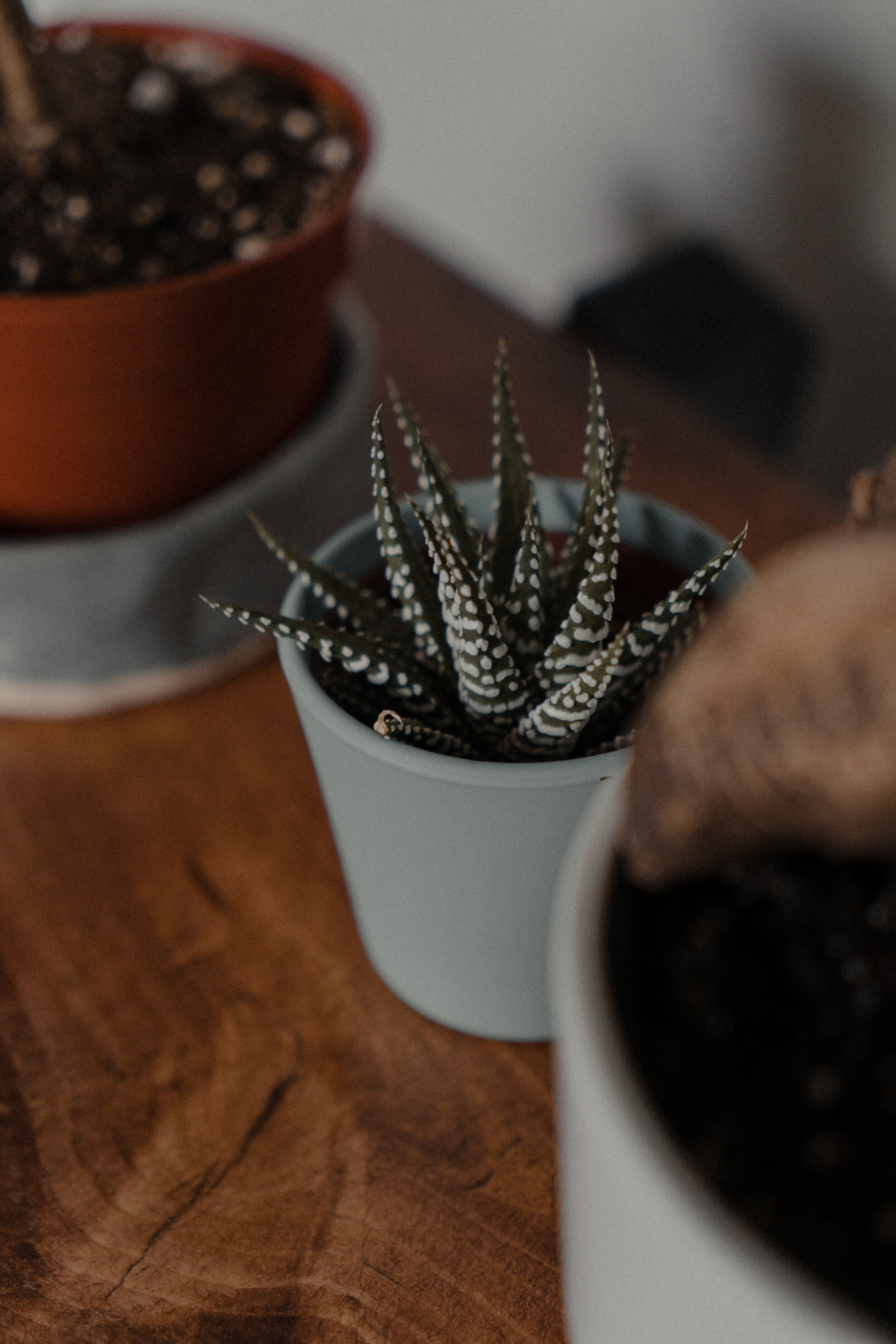 Justin the Builder — frame 06