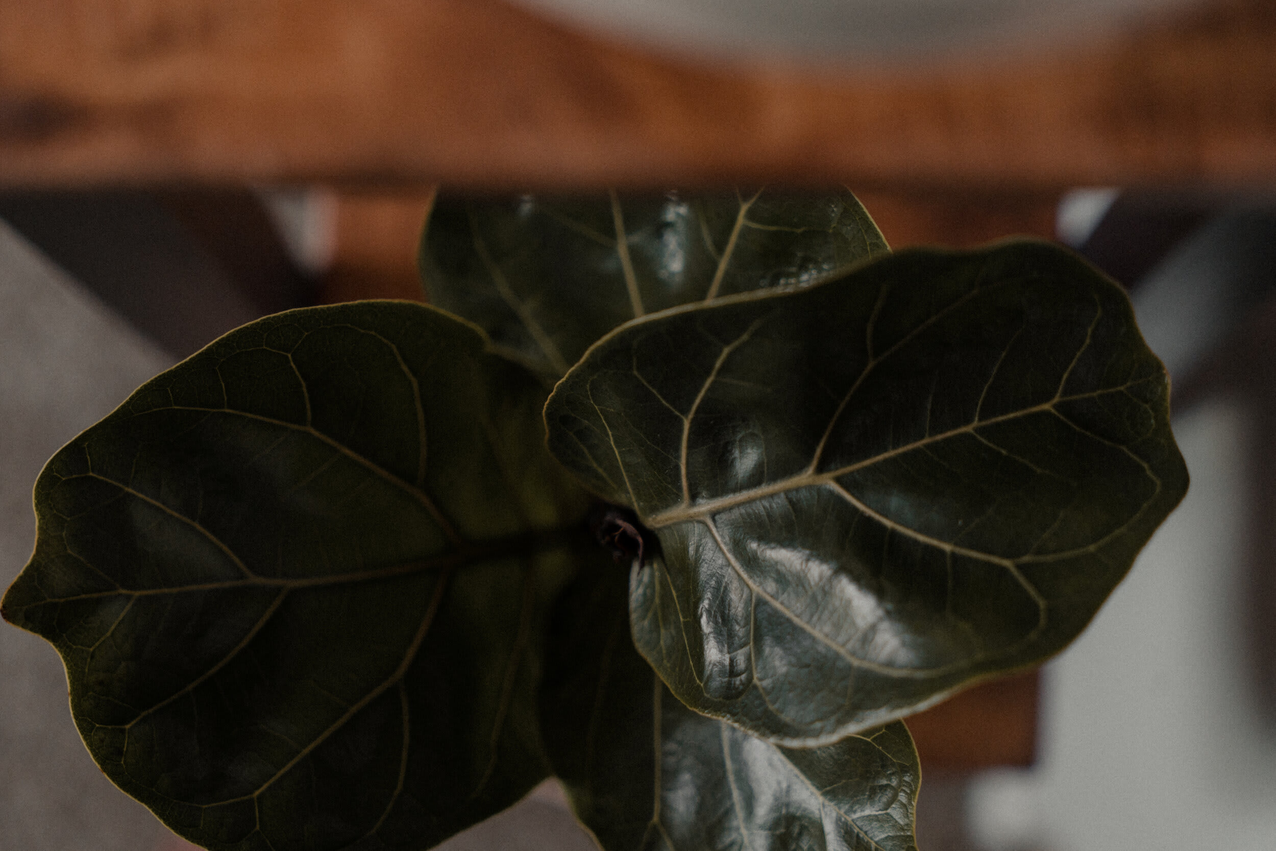 Justin the Builder — frame 05