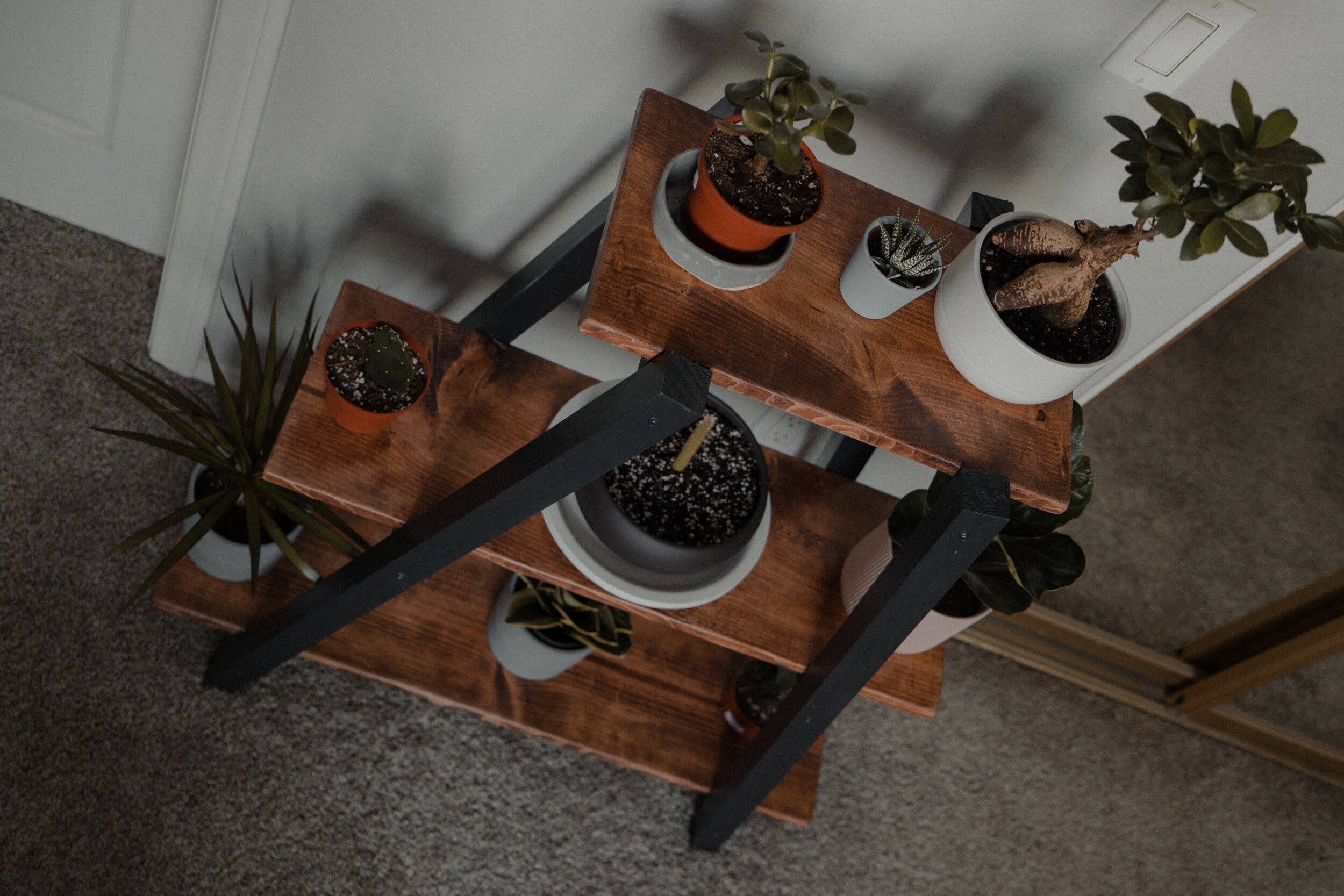 Justin the Builder — frame 04