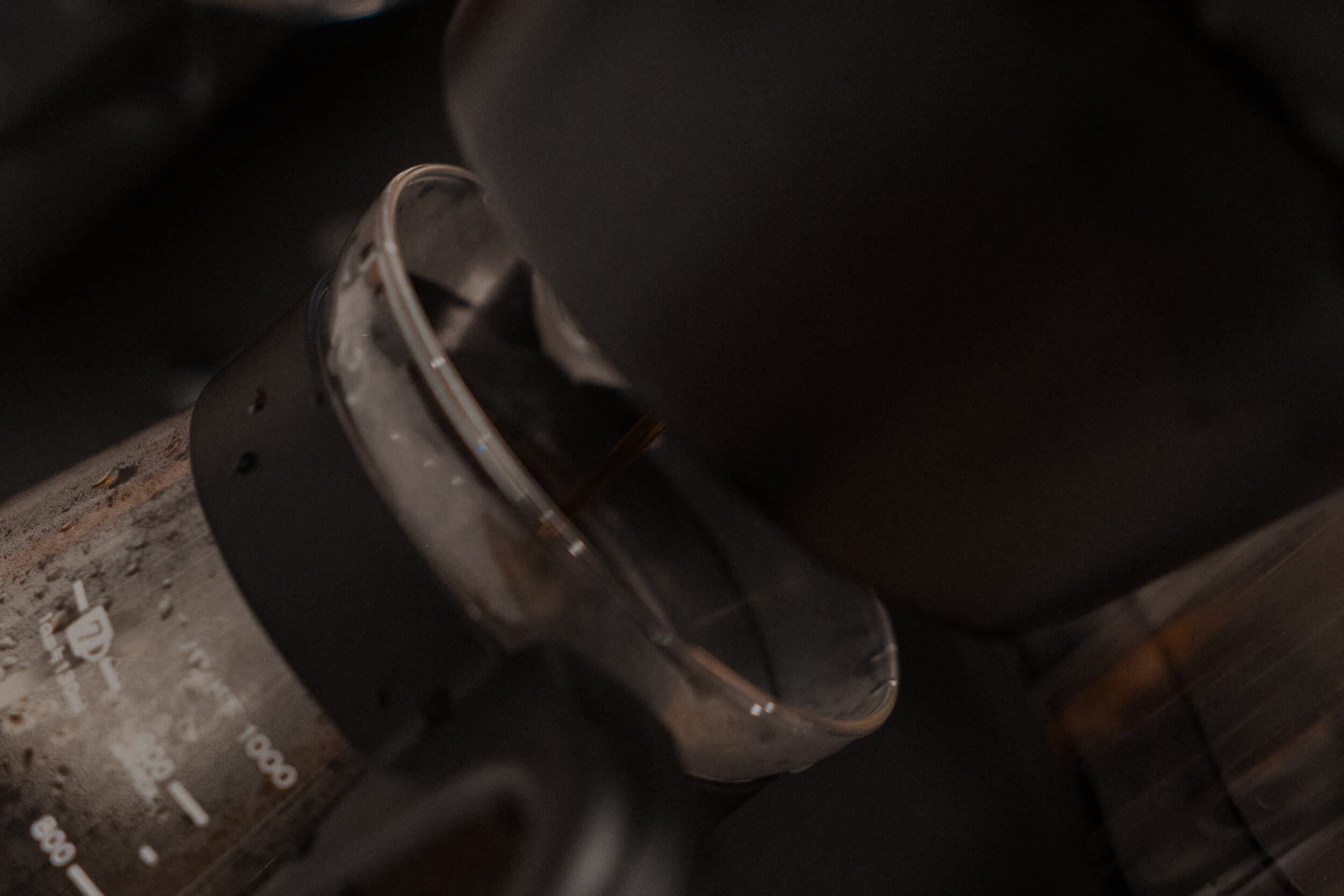 Morning Coffee — frame 02