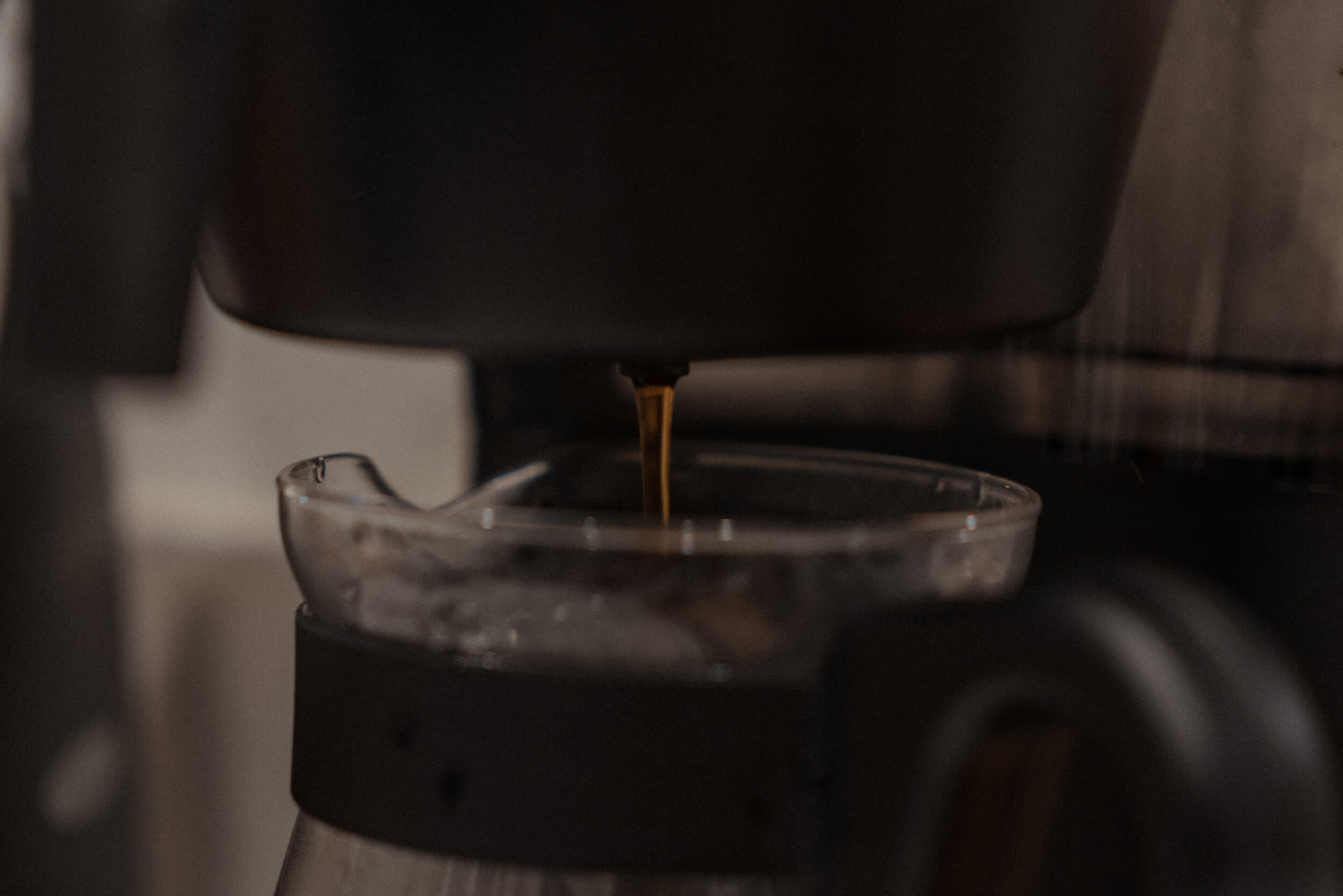 Morning Coffee — opening frame