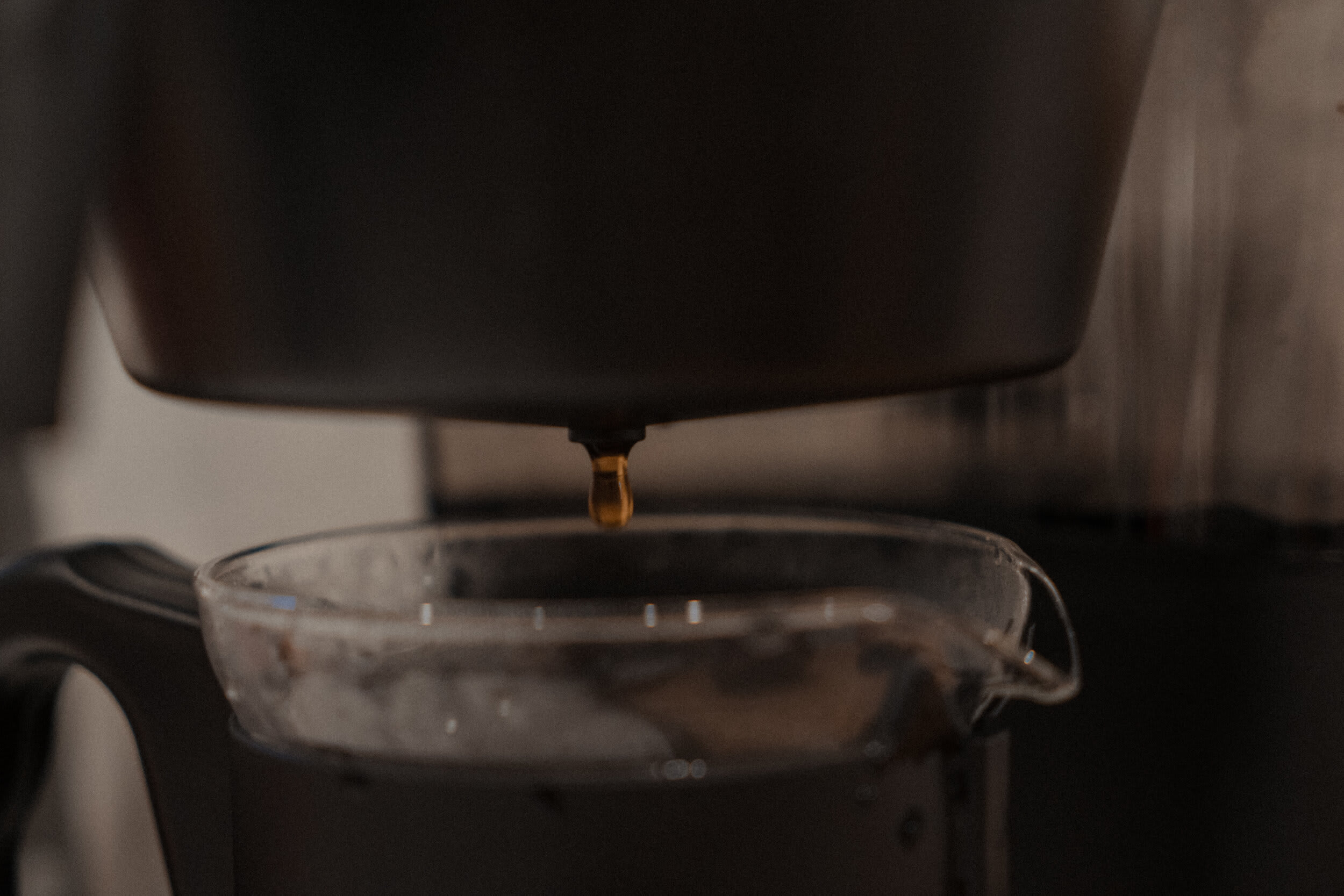 Morning Coffee — frame 05