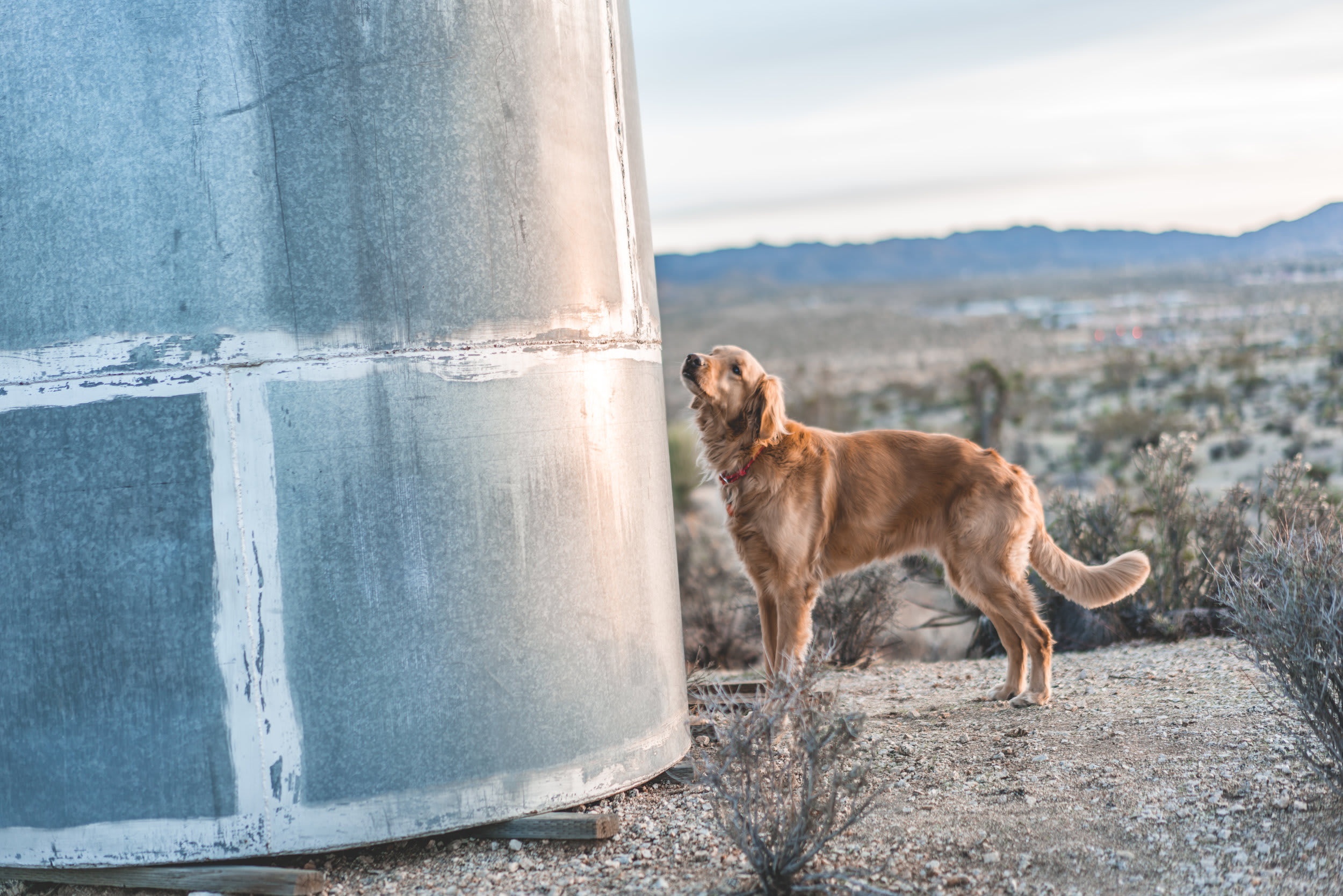 Boulder’s Hideaway — opening frame