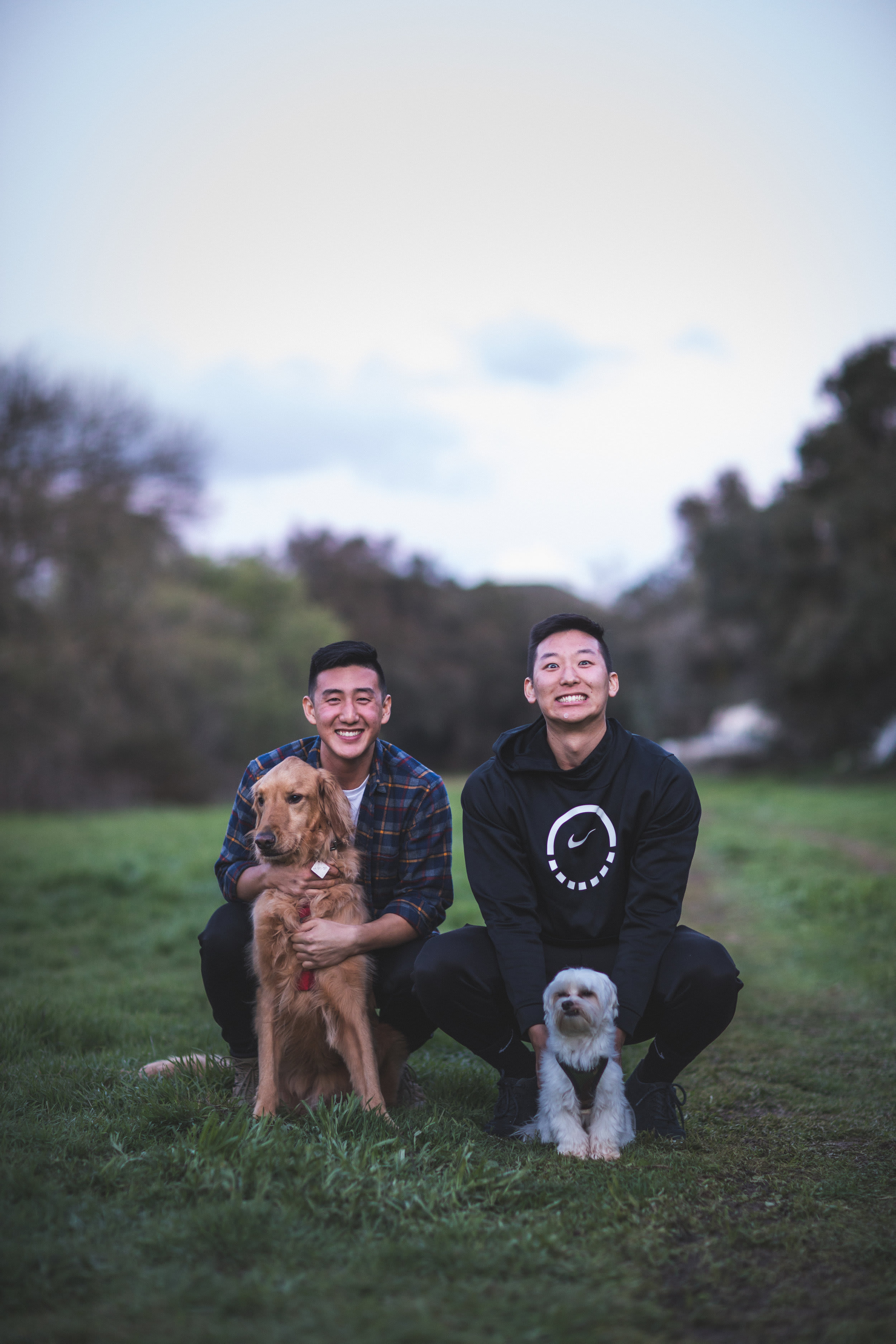 Hideaway Meadows — frame 04
