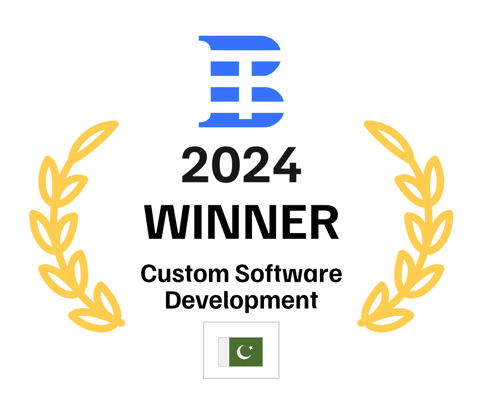 Custom Software Development 2024