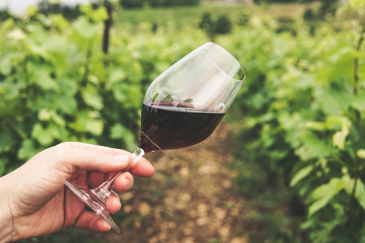 Vinos 2