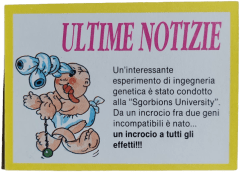 retro SGORBIONS UNIVERSITY — Sgorbions serie 3