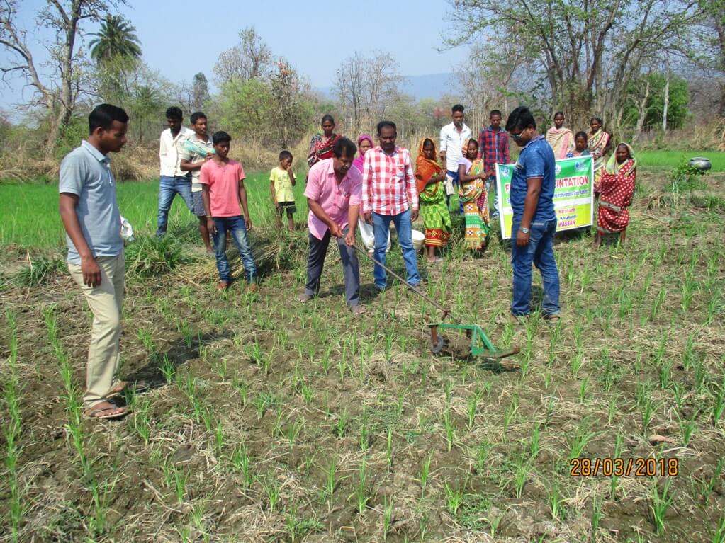 Millet Crop Program