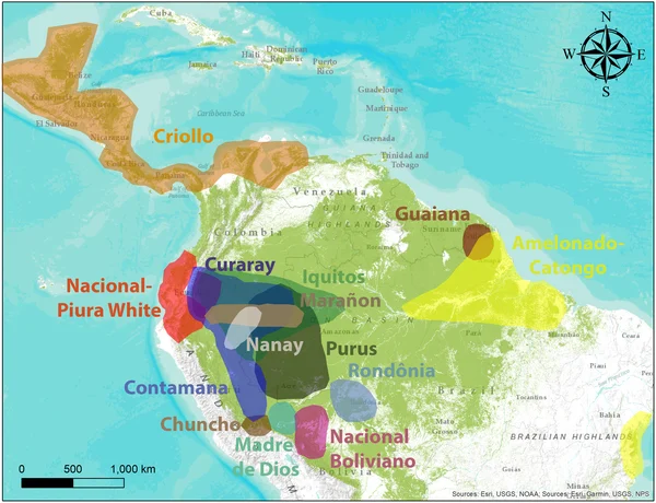 The distribution of cacao genetic groups in their center of origin based on Motamayor