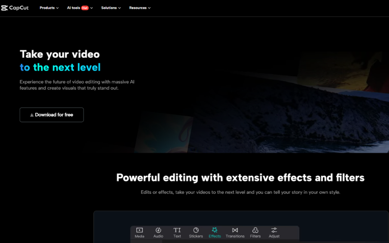 Image 4: CapCut Pro